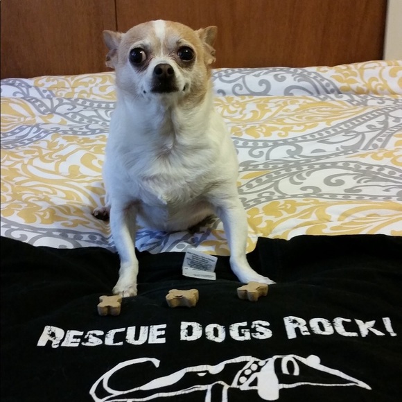 Meet your Posher, Lynnie - Picture 1 of 1